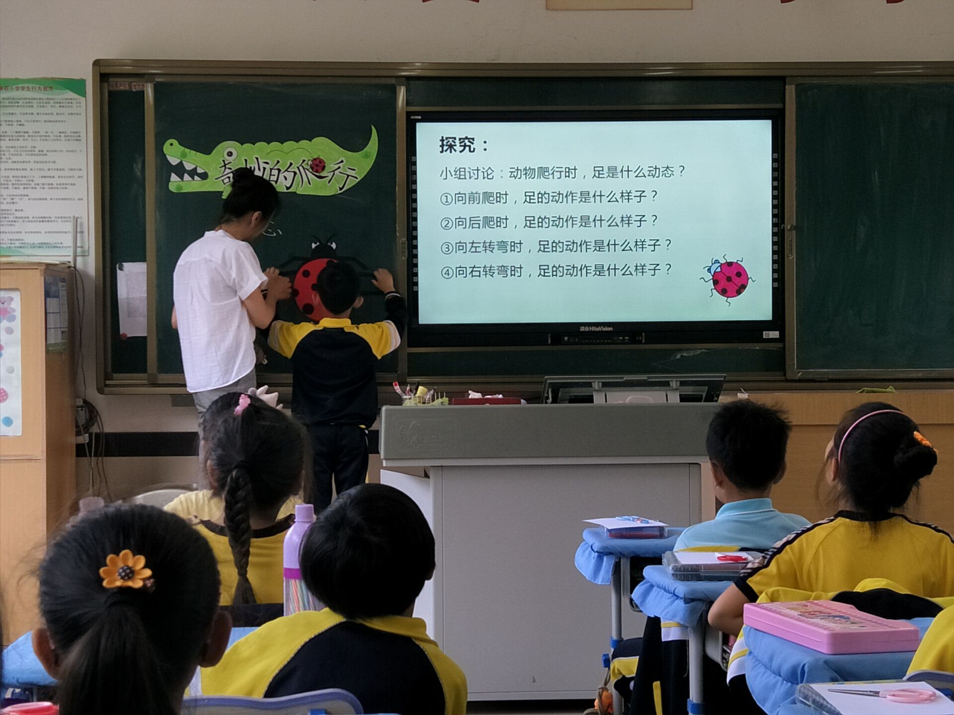 王娇1.jpg