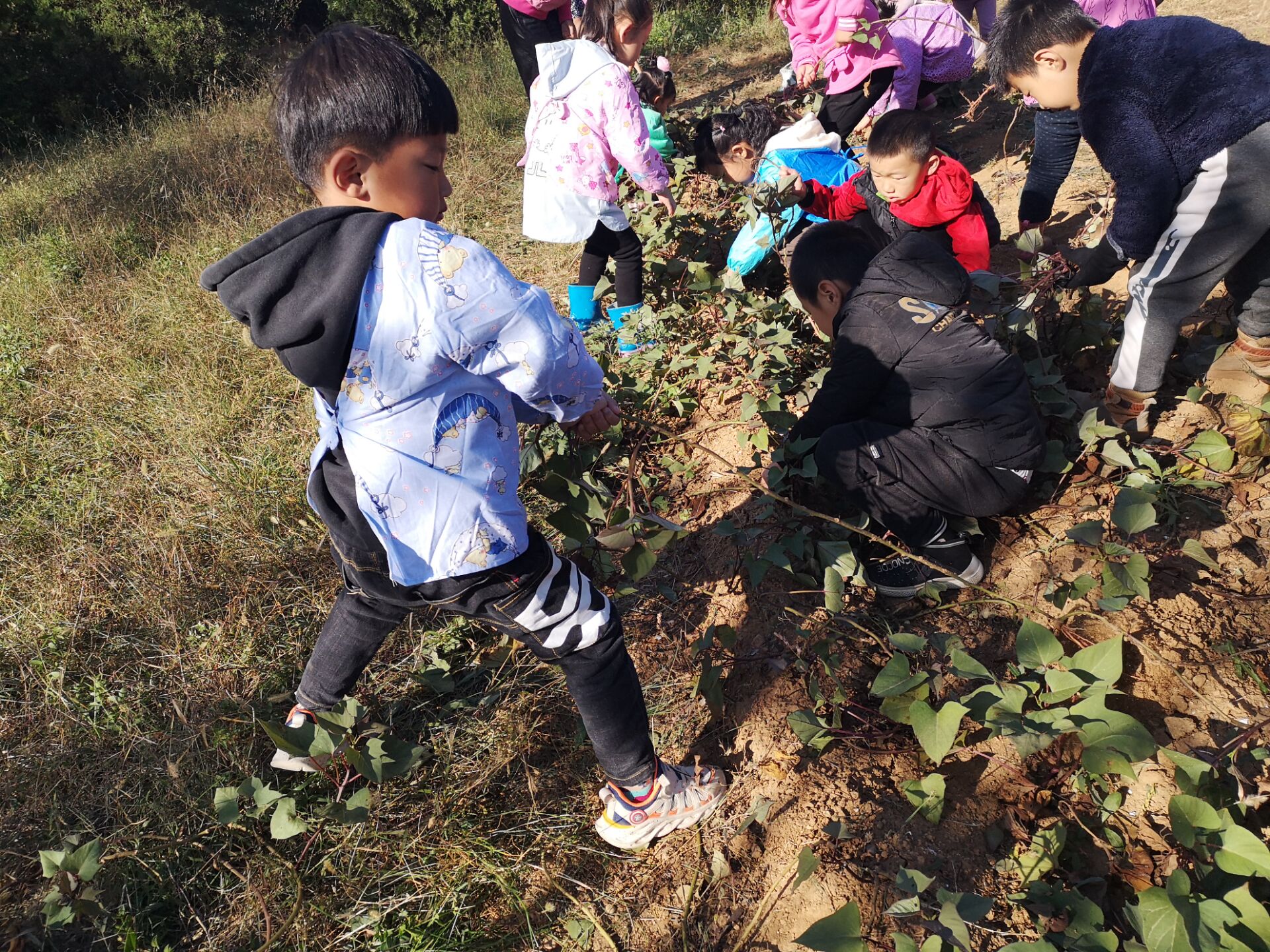 QQ图片20191021094658.jpg